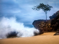 Kauai Landscapes and Wildlife