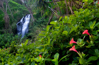 Falls Along Queen's Bath Trail